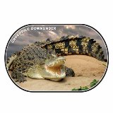 Crocodile Downunder Placemat